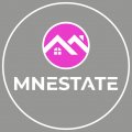 Mnestate Logo