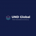 UND GLOBAL Real Estate&Consultancy 标志