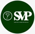 GRUPO SERVIPUBLIC SL Logo